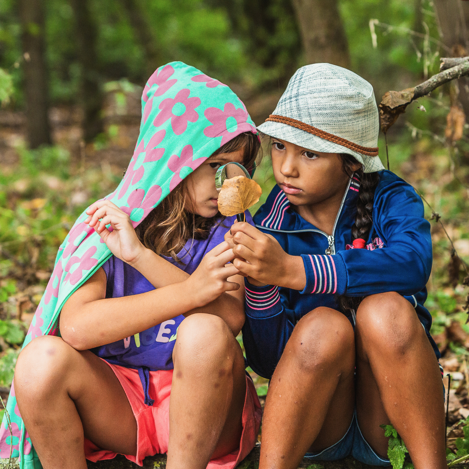 Images for the Winter Nature Camp (1).png