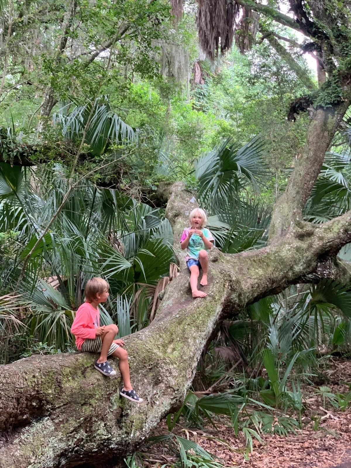 WhatsApp Image 2025-11-10 at 15.44.29_ddc61281.jpg