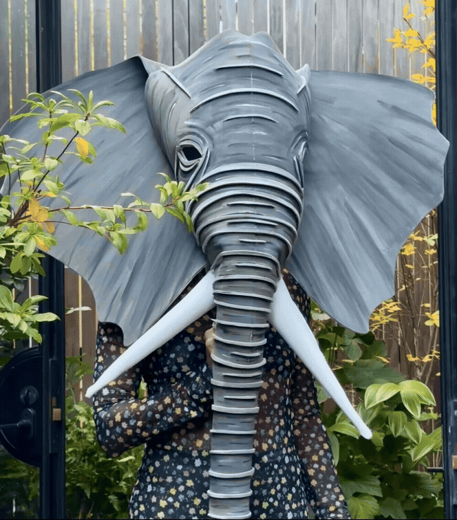 IMG_5548.GIF