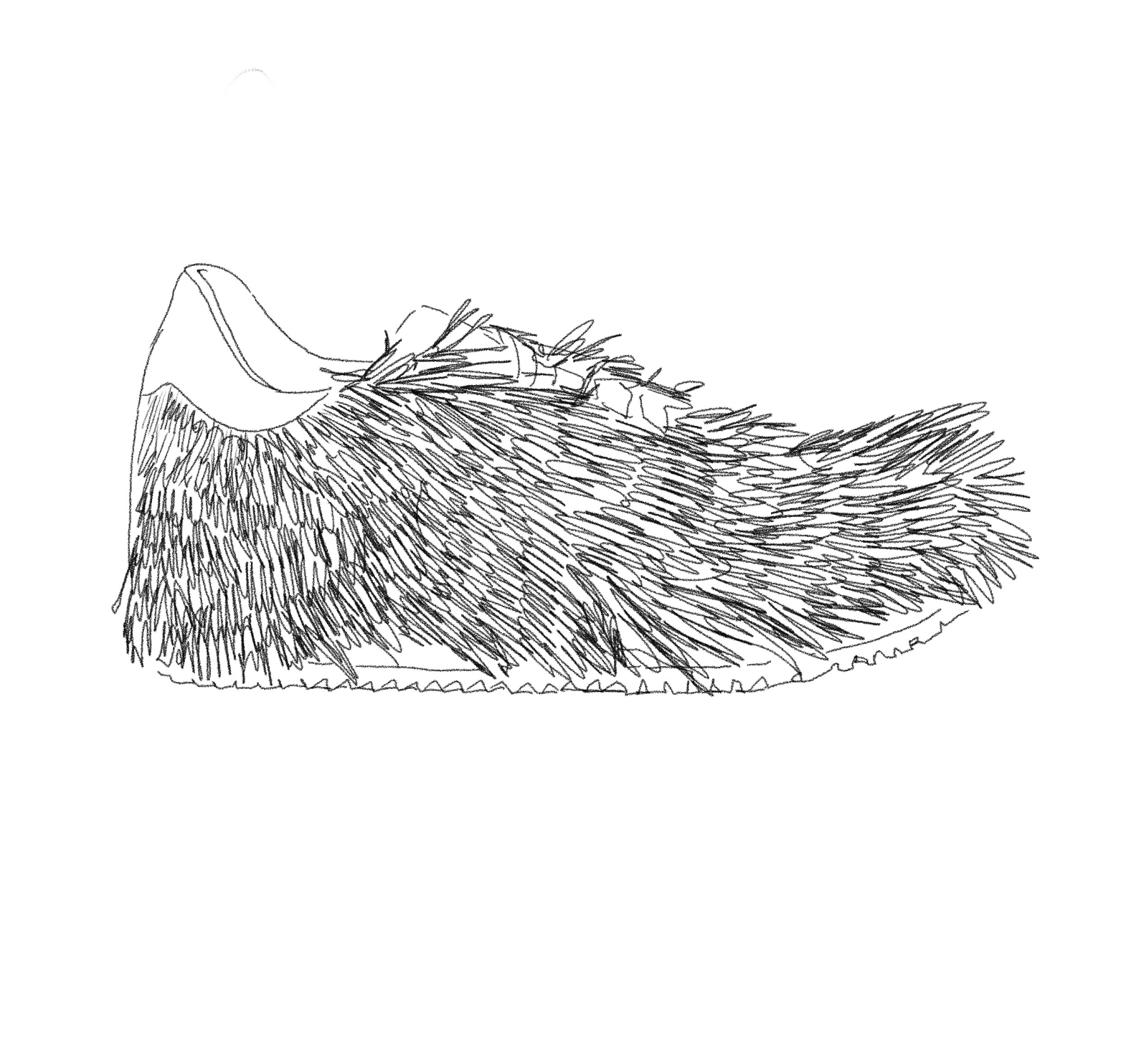 Screenshot 2024-10-01 at 3.13.53 PM.png