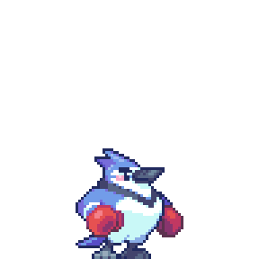 brute-jay@cheer.gif