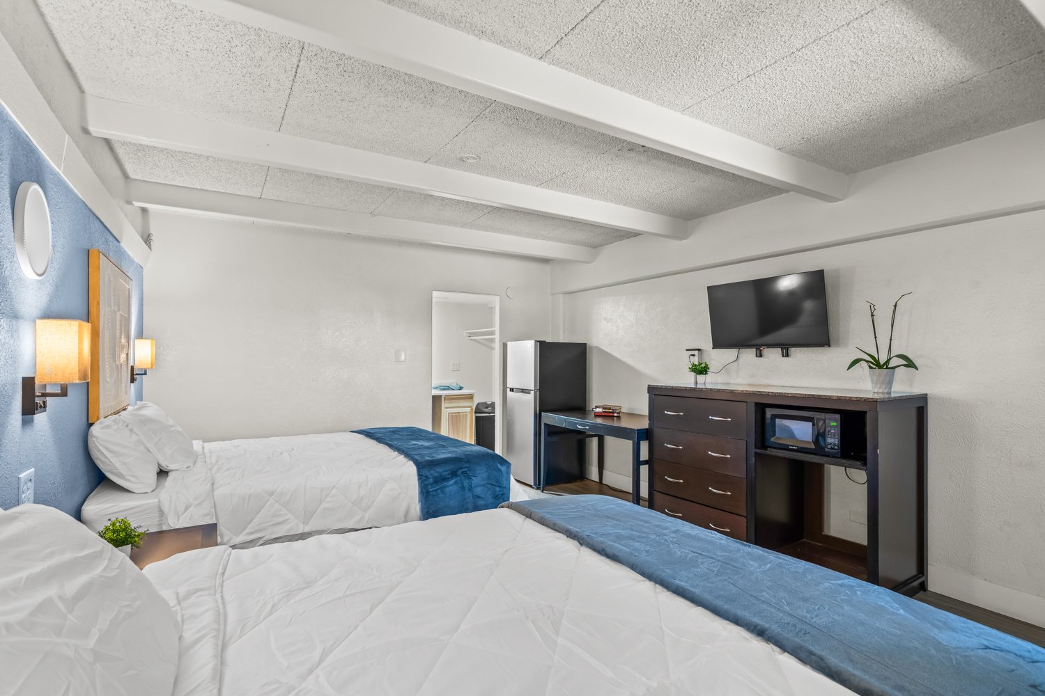 Two beds with white bedding and blue blankets in a hotel room with a blue accent wall, a nightstand with a small plant, and a wall-mounted lamp. Opposite, there is a dresser with a flat-screen TV, a small fridge, microwave, and some decorative plants