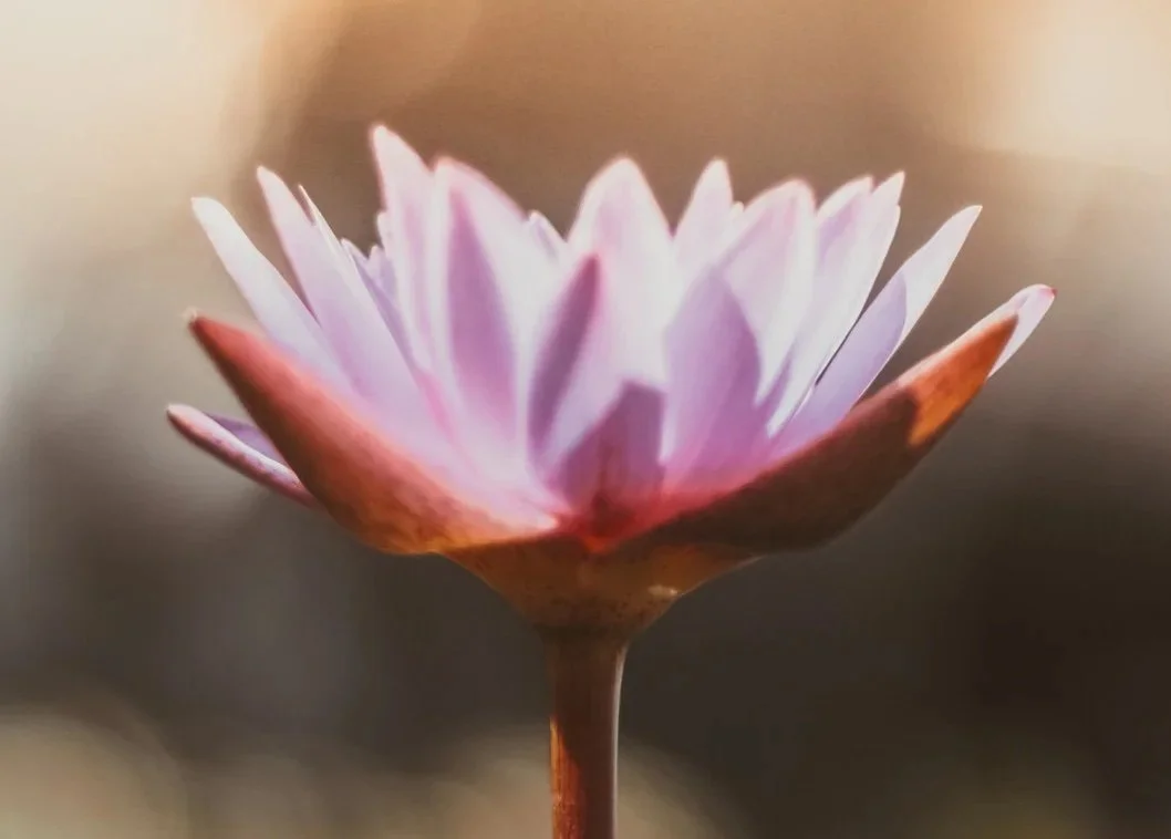 Part 4 In Ethical Behavior Series