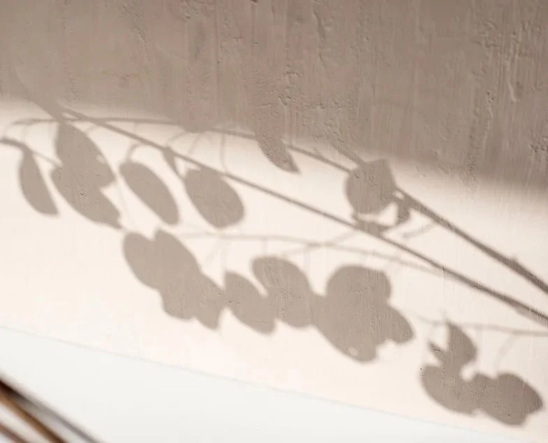 Quote - Ajahn Sucitto