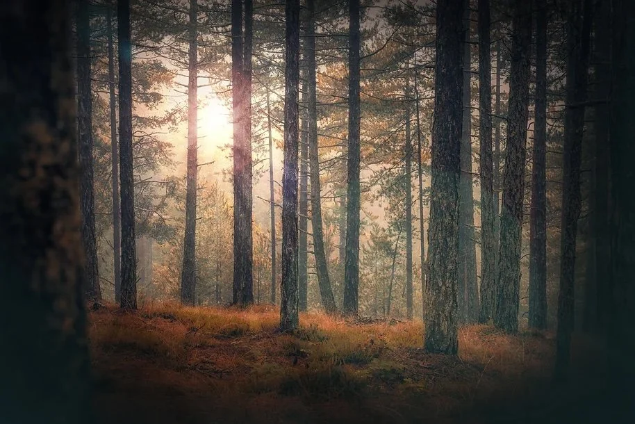 Part 6 in Relationship Series