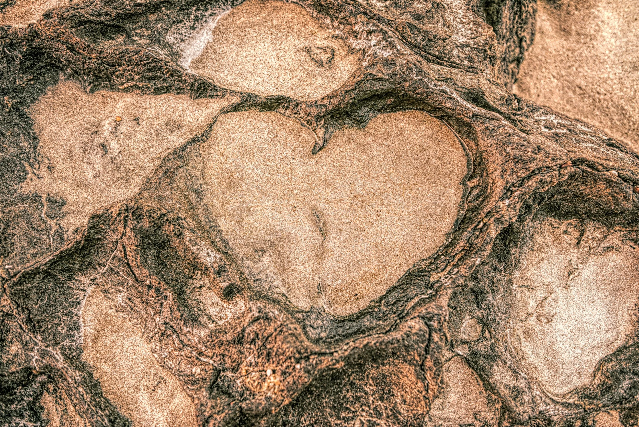 The Boundless Heart: A Daylong Retreat with Julia Gooding Warner and Lynn Teo