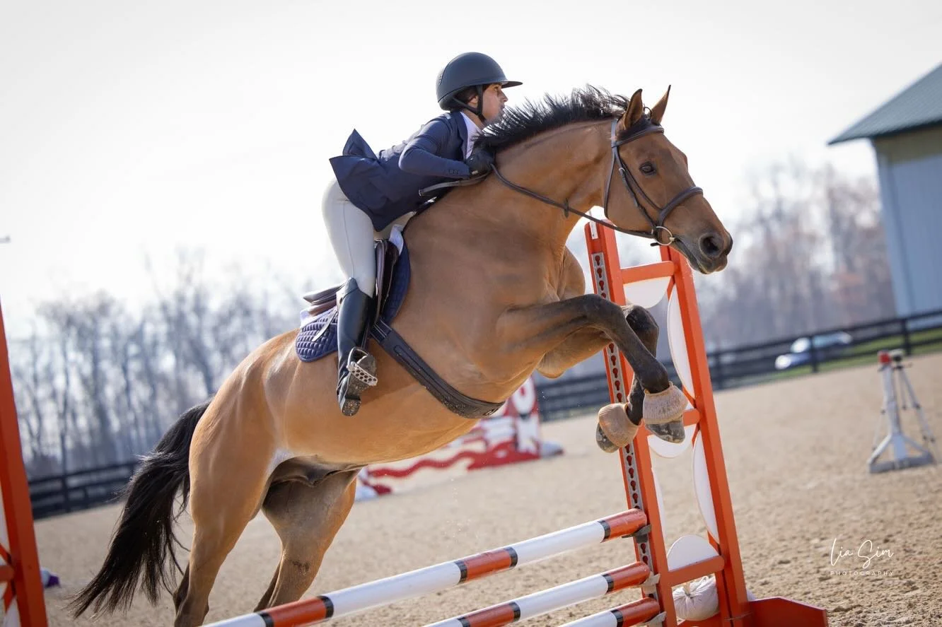 It&rsquo;s been a longgggg time coming 

🤕multiple knee injuries
🩼surgery and recovery 
🤍 heartbreak on the horse front

but that&rsquo;s all in the rear view 

She&rsquo;s stronger, healthier and learned so much ❤️&zwj;🩹

Now it&rsquo;s time to 