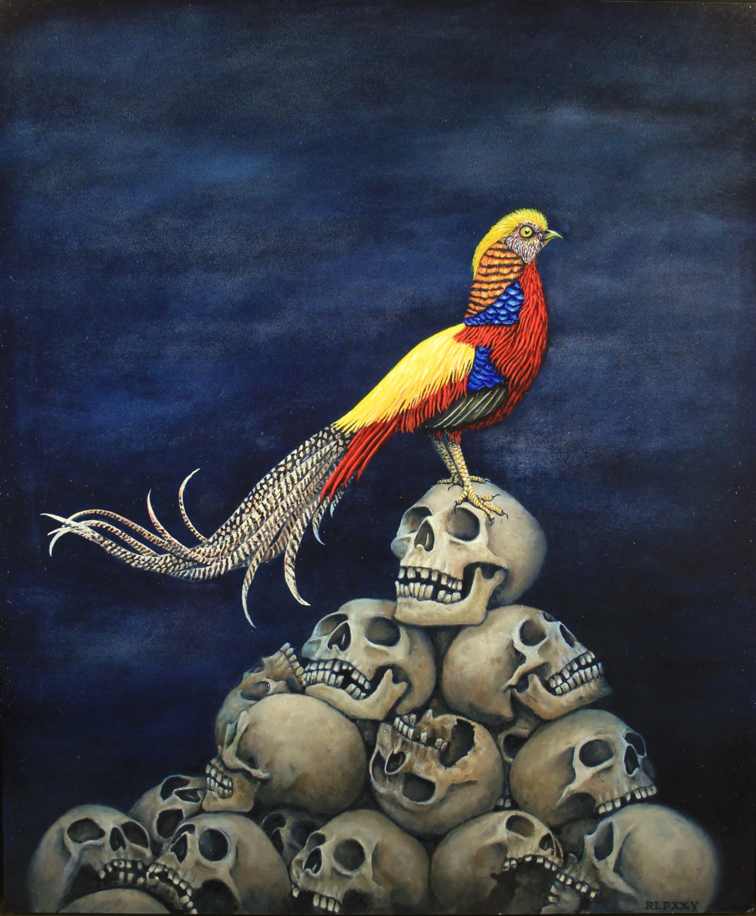 Welcome to paradise.