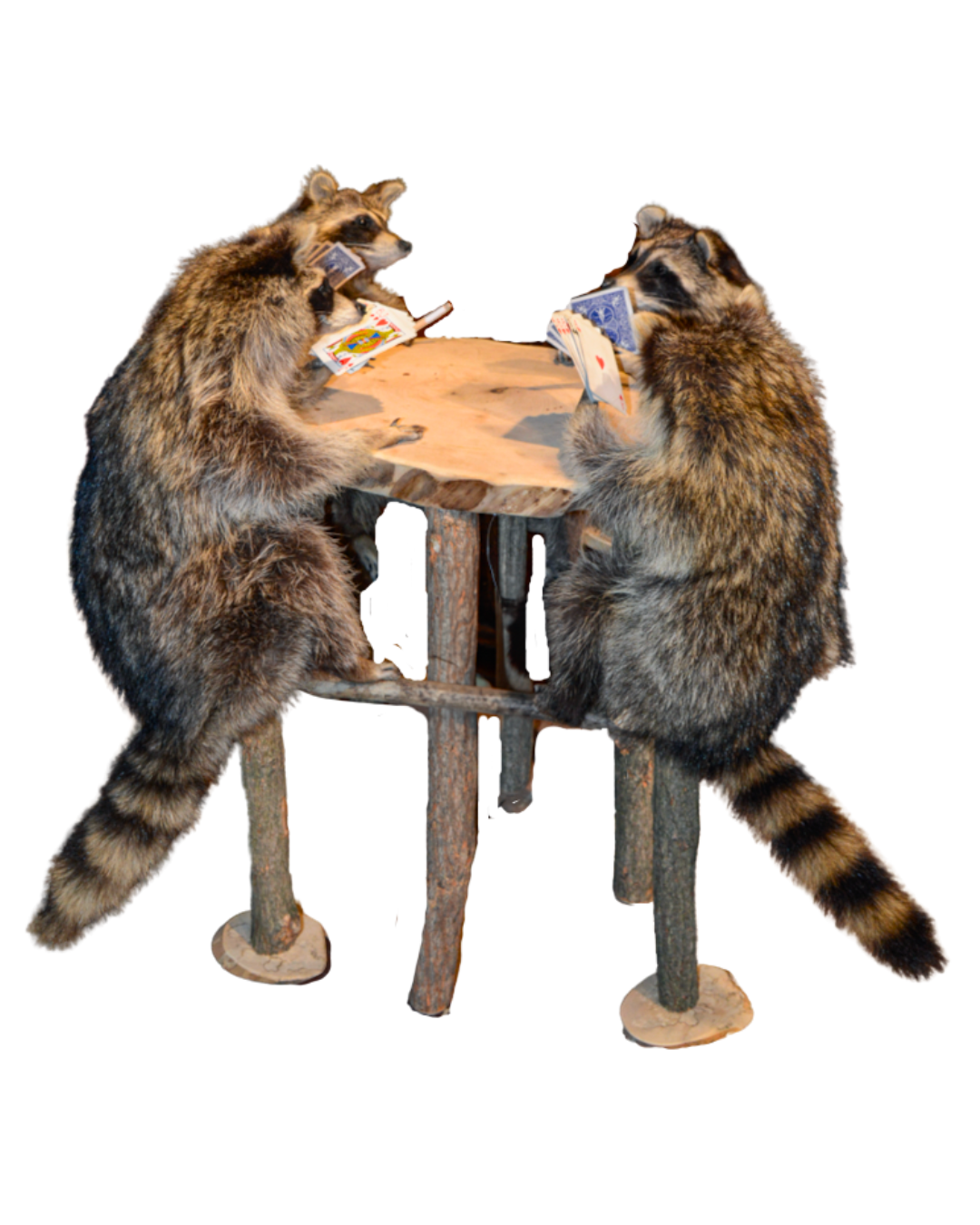 Chairs, Pillows, Accessories (1).png