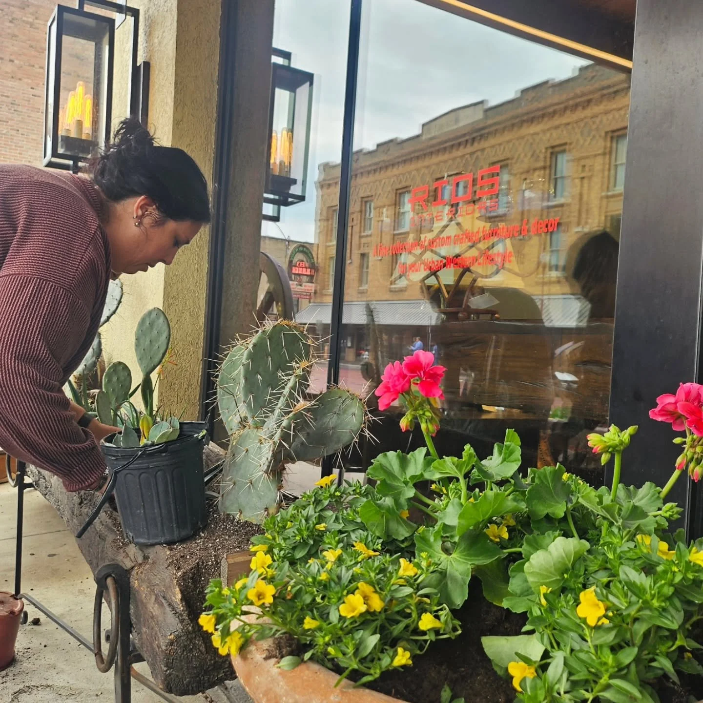 We're in full bloom for spring 🌼 
Come on down to the Stockyards and check out our new plants 🪴 

#stockyards #spring #plantsmakemehappy #cactus #flowers