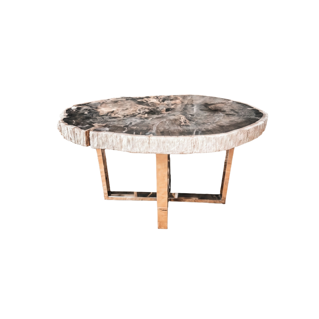 Petrified Wood Coffee Table