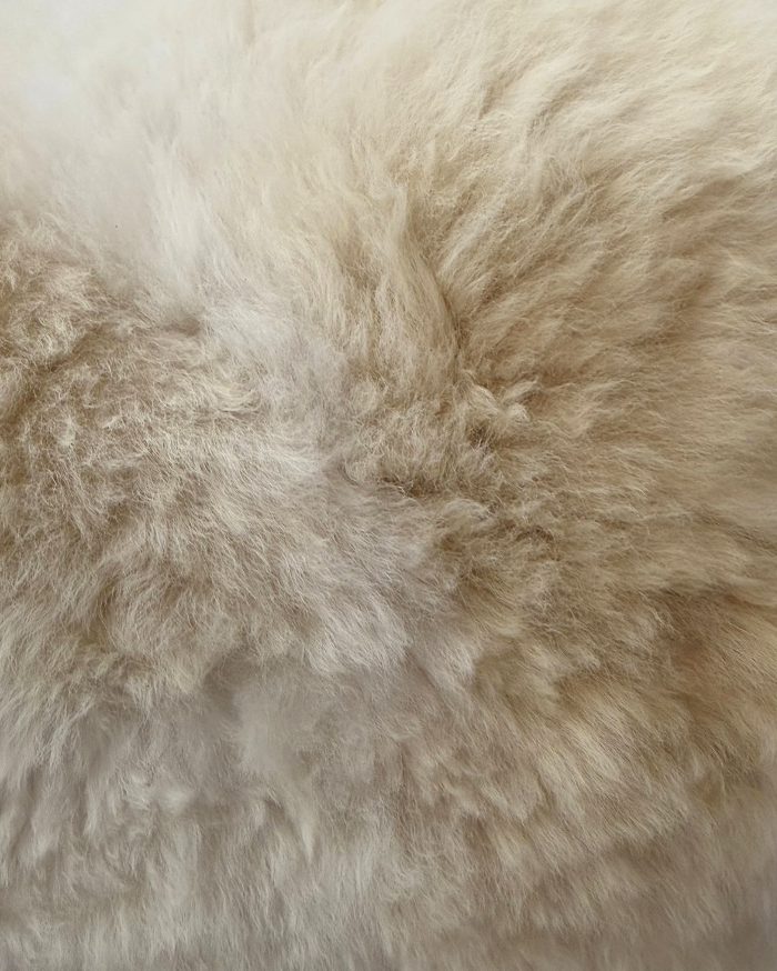 Screenshot 2026-01-17 at 3.53.20 PM.png