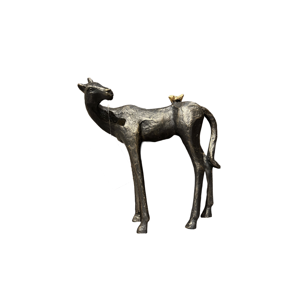 Hello Friend NB.png