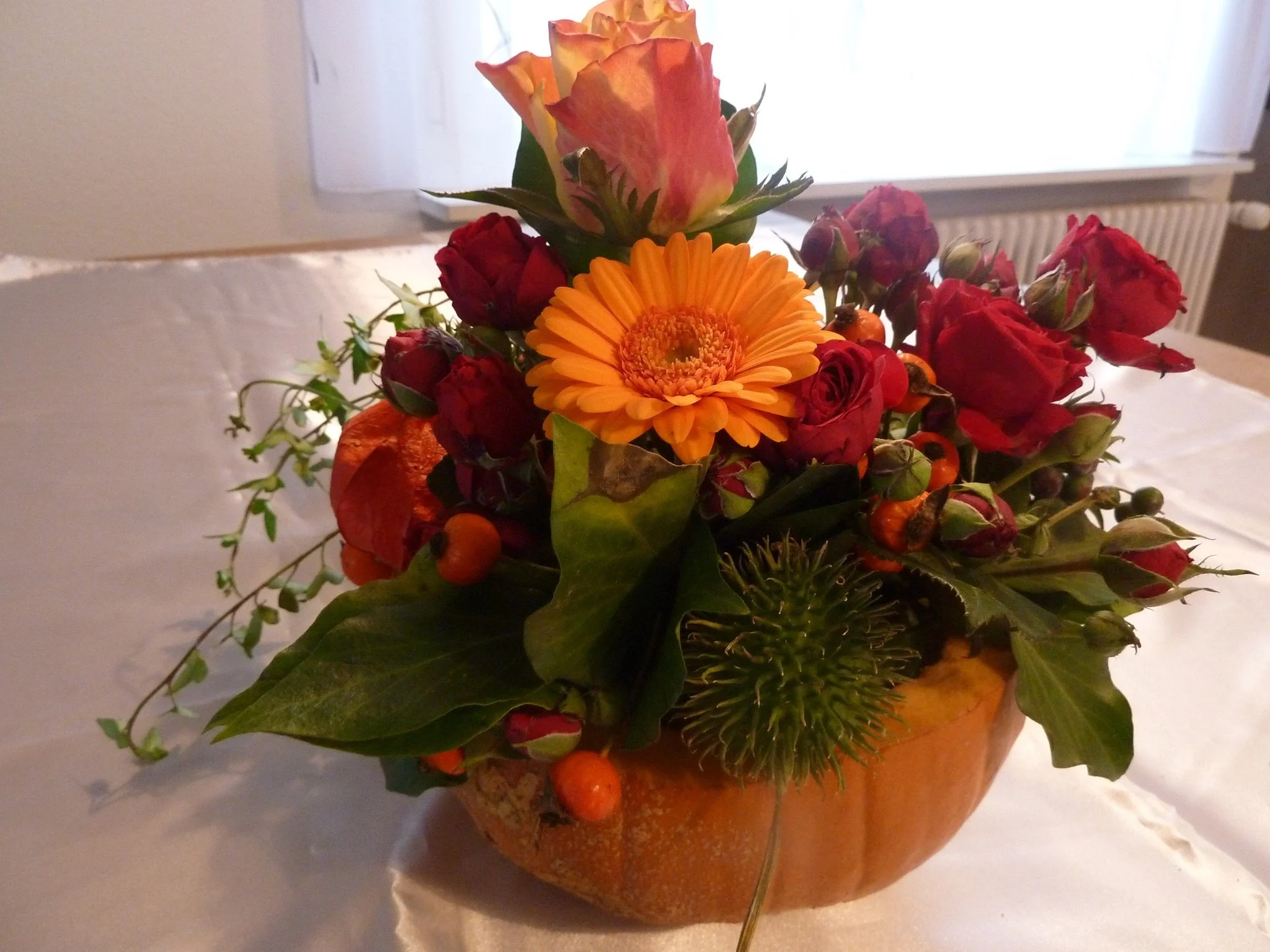 p1040002-large.jpg