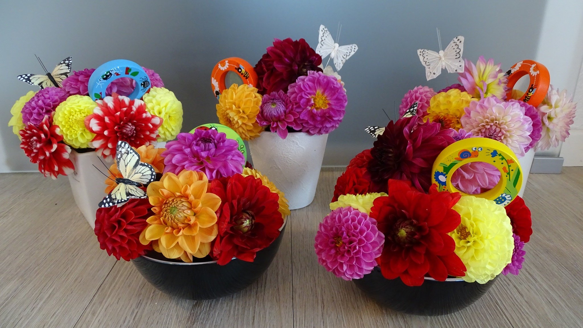 dsc01446-large.jpg