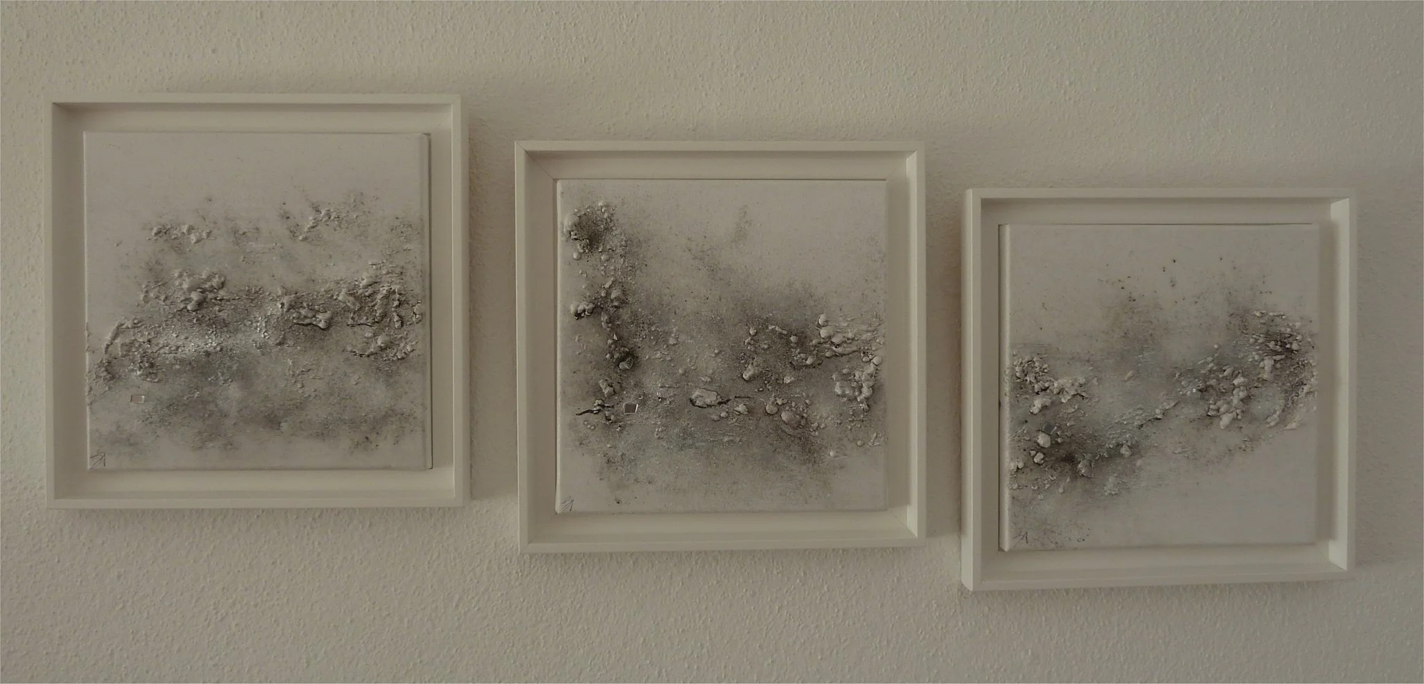 p1060250_ok-large.jpg