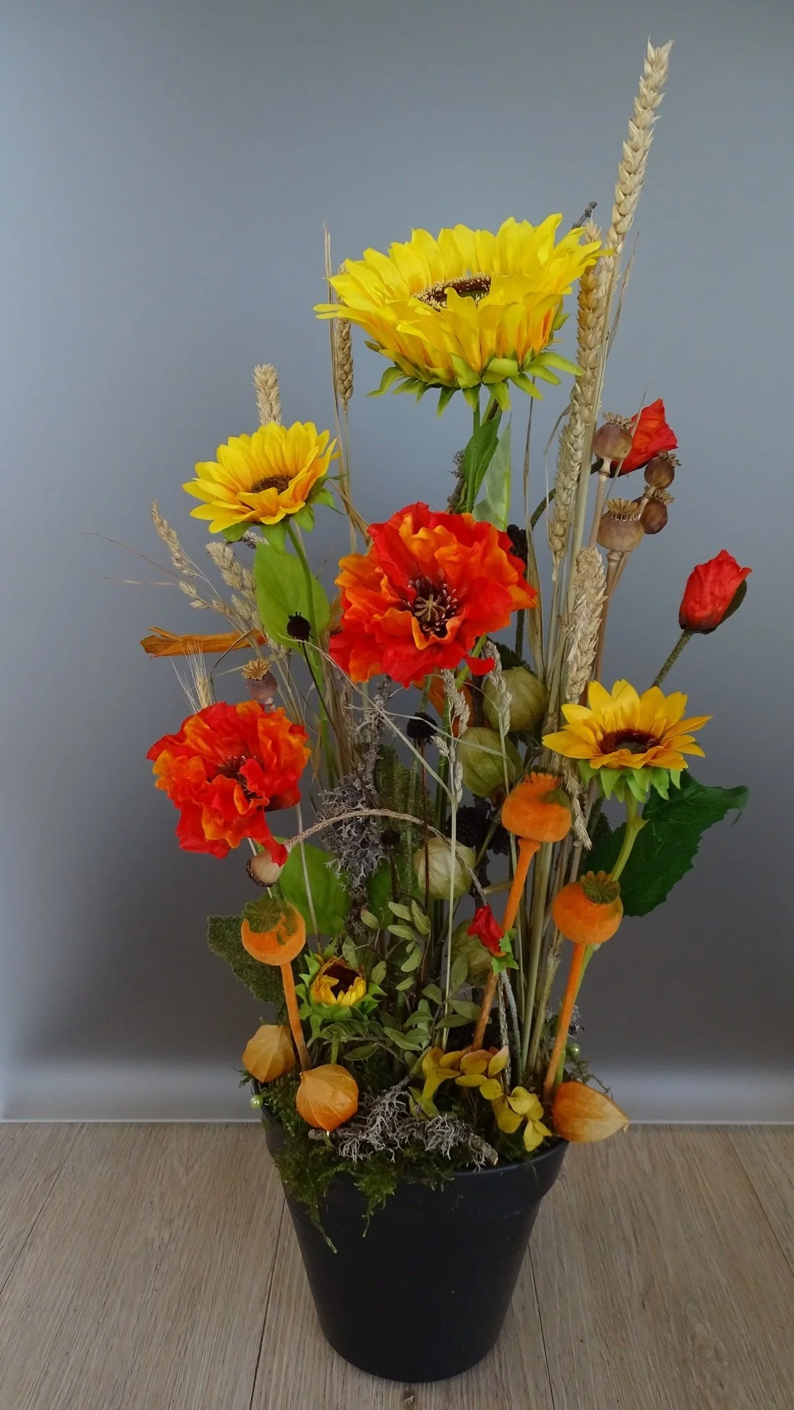 dsc02271-large.jpg
