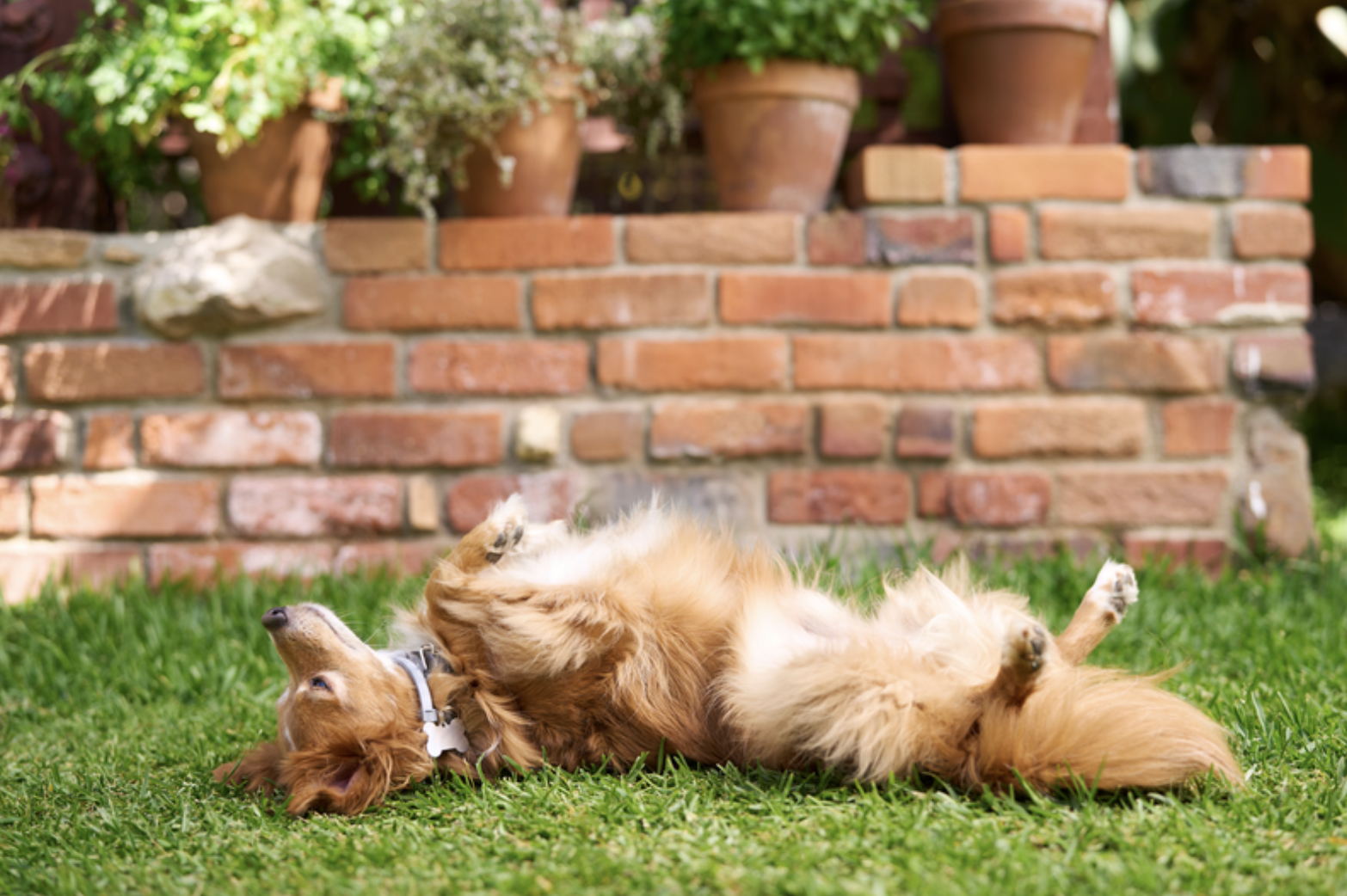 Screen Shot 2024-06-25 at 2.57.18 PM.png