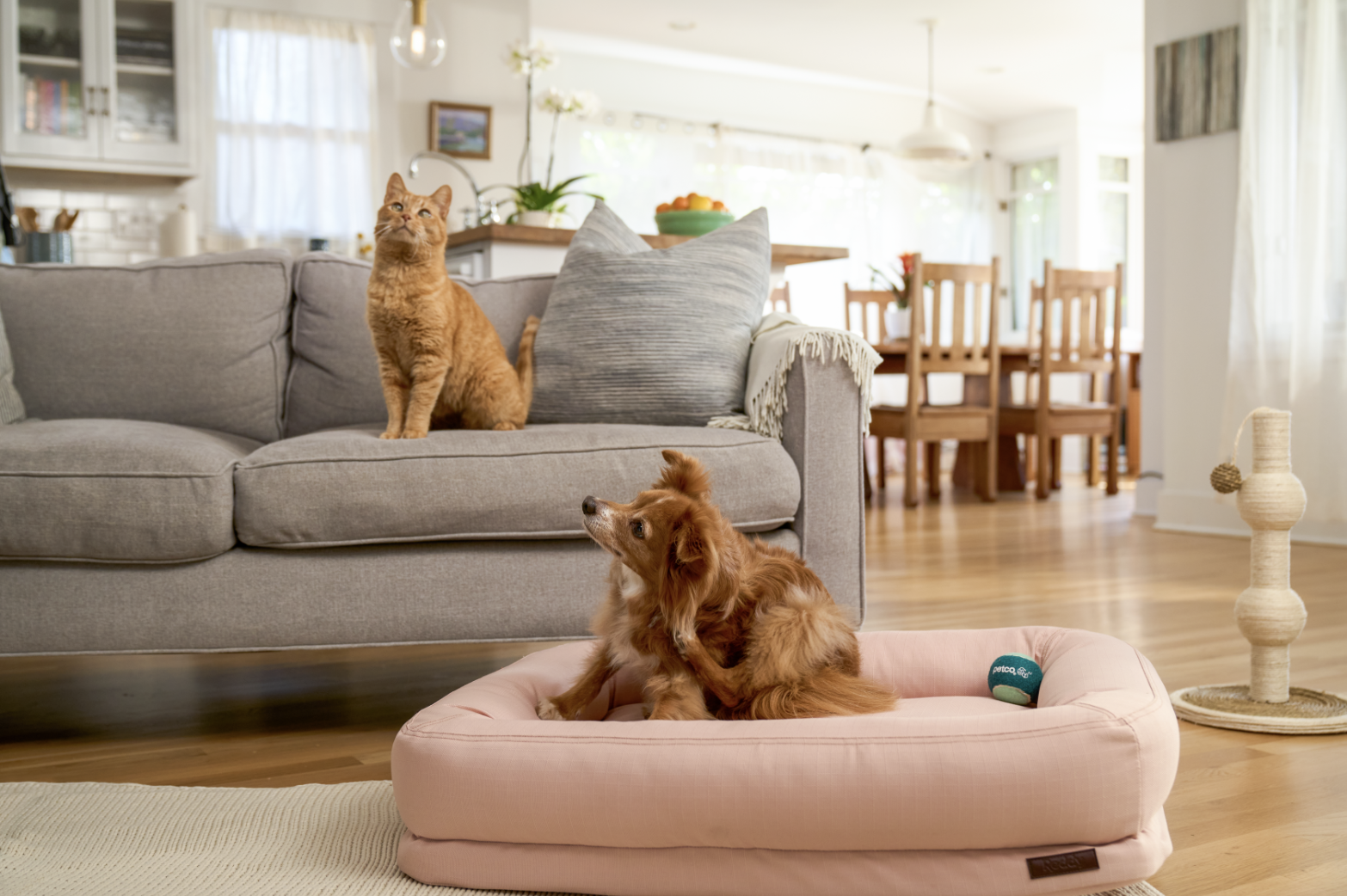 Screen Shot 2024-06-25 at 2.58.28 PM.png