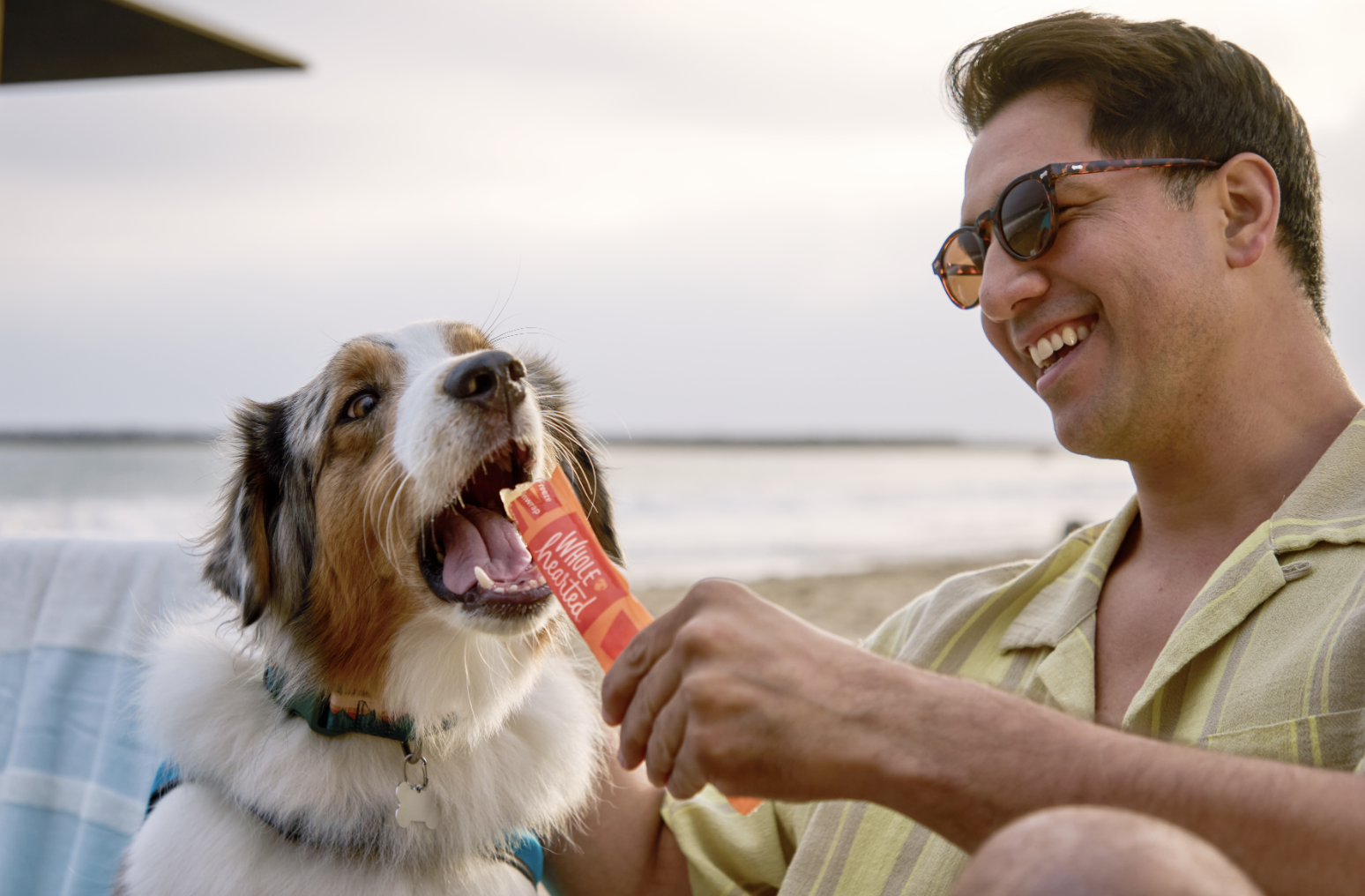 Screen Shot 2024-06-25 at 3.09.48 PM.png