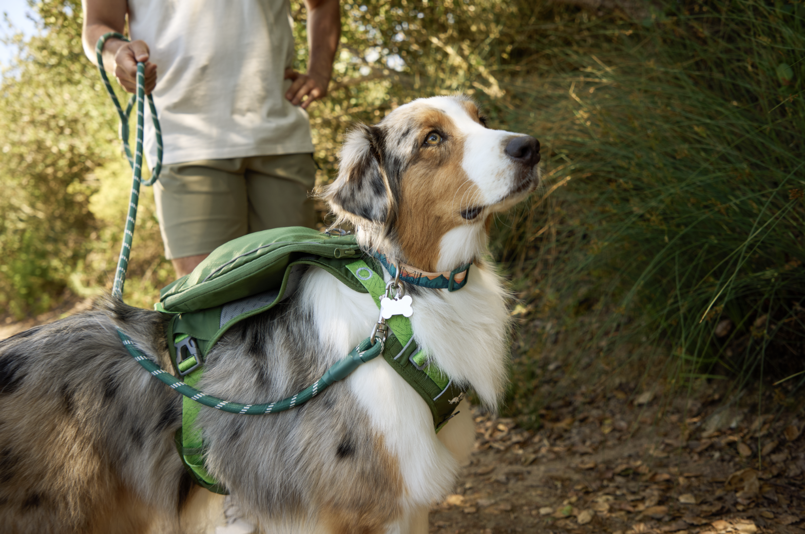 Screen Shot 2024-06-25 at 3.07.27 PM.png