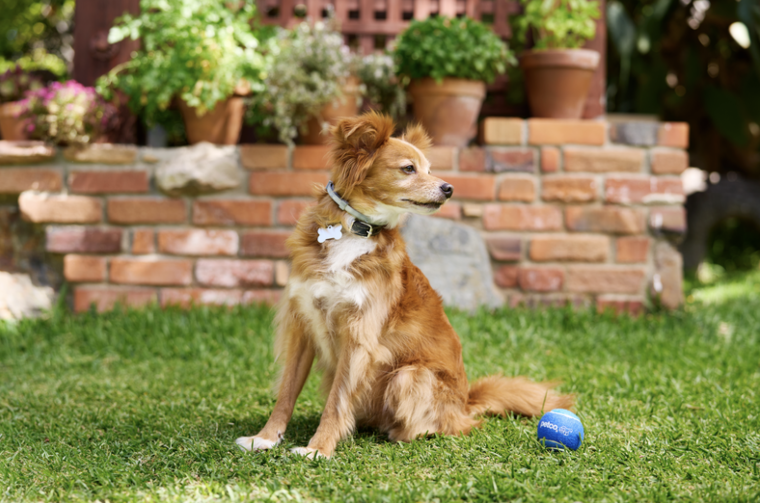 Screen Shot 2024-06-25 at 2.56.49 PM.png