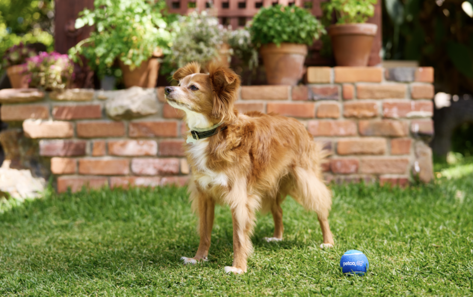 Screen Shot 2024-06-25 at 2.57.04 PM.png