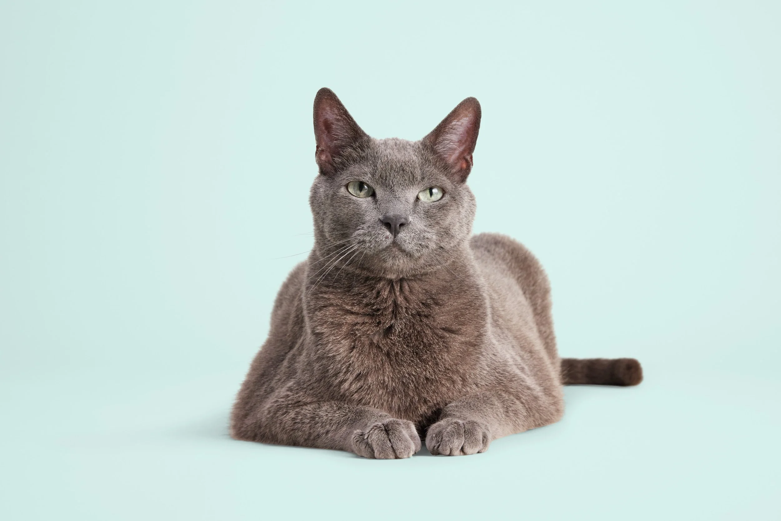 22-671881-UM_Cat_Hero-04 2.jpg