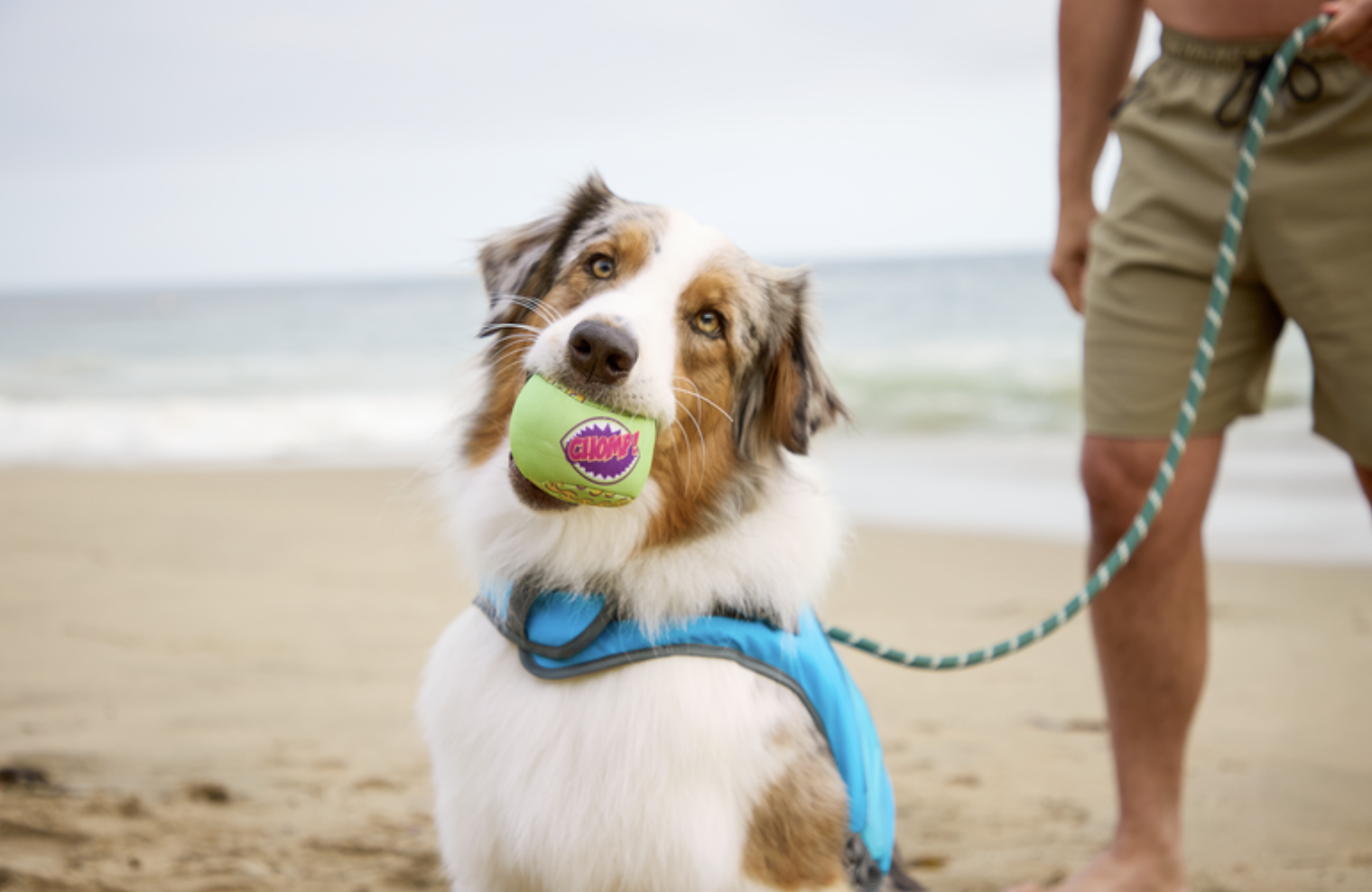 Screen Shot 2024-06-25 at 3.07.52 PM.png