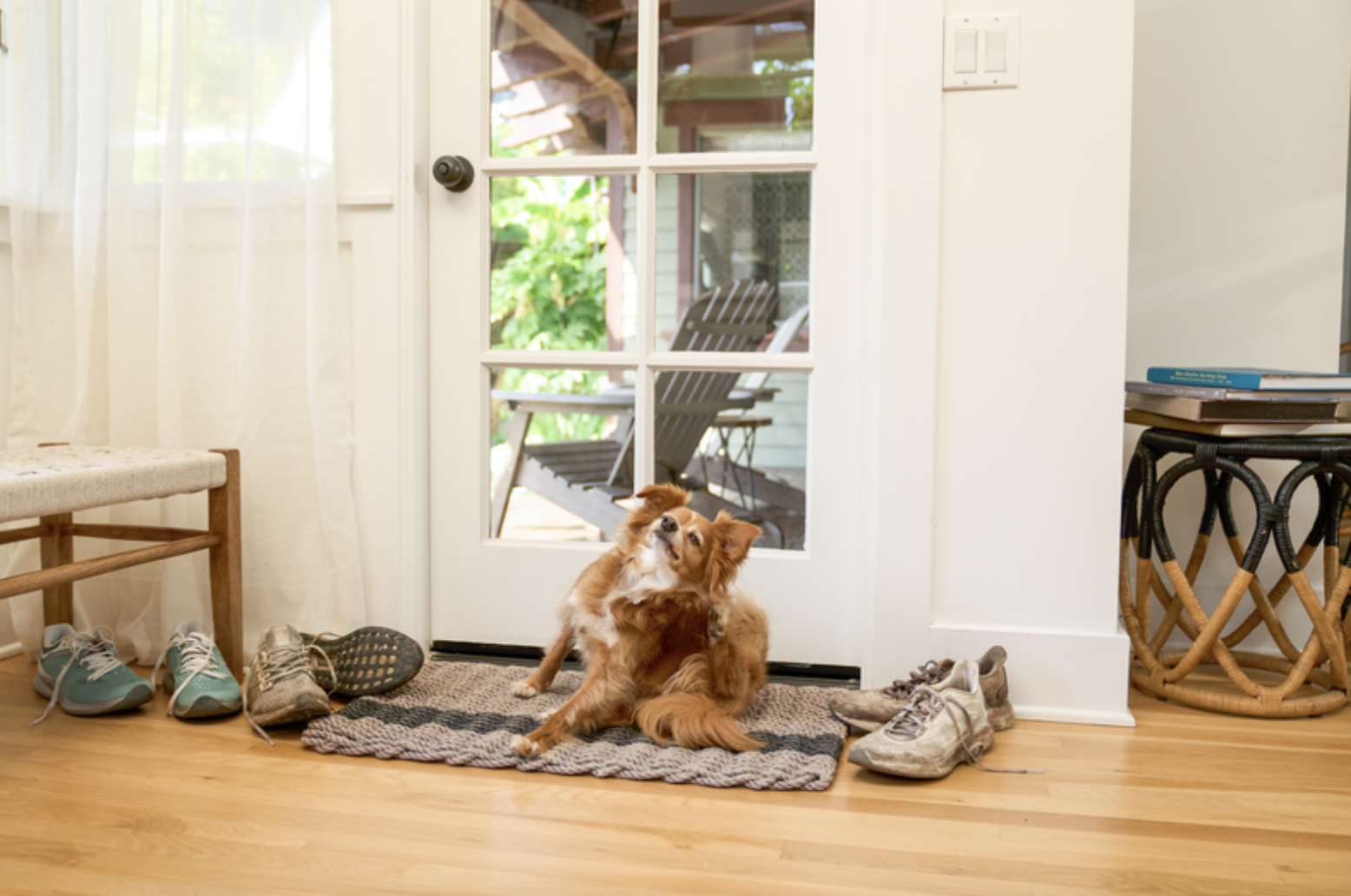 Screen Shot 2024-06-25 at 2.57.56 PM.png