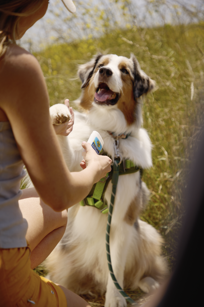 Screen Shot 2024-06-25 at 3.10.26 PM.png