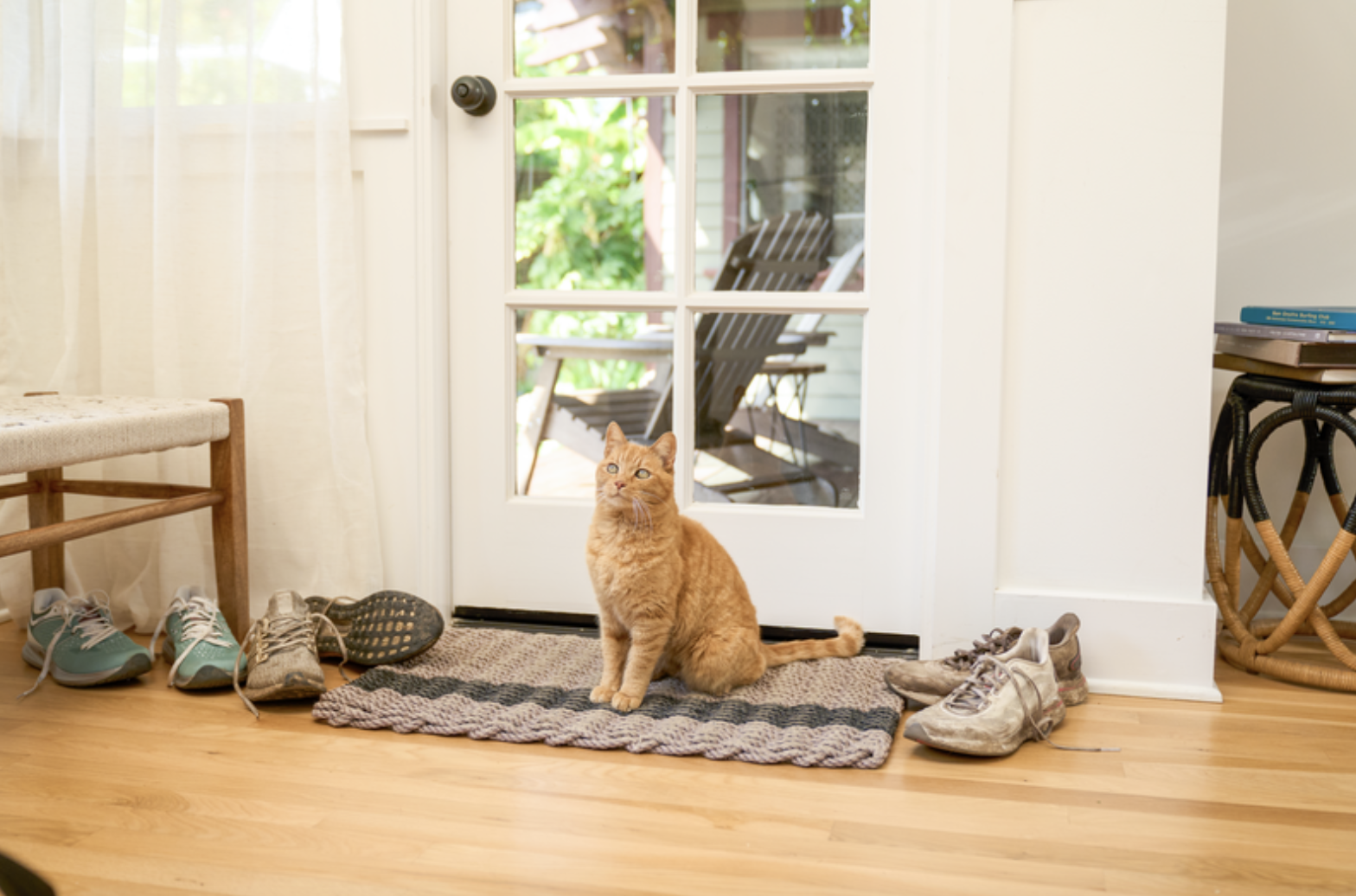 Screen Shot 2024-06-25 at 2.58.14 PM.png