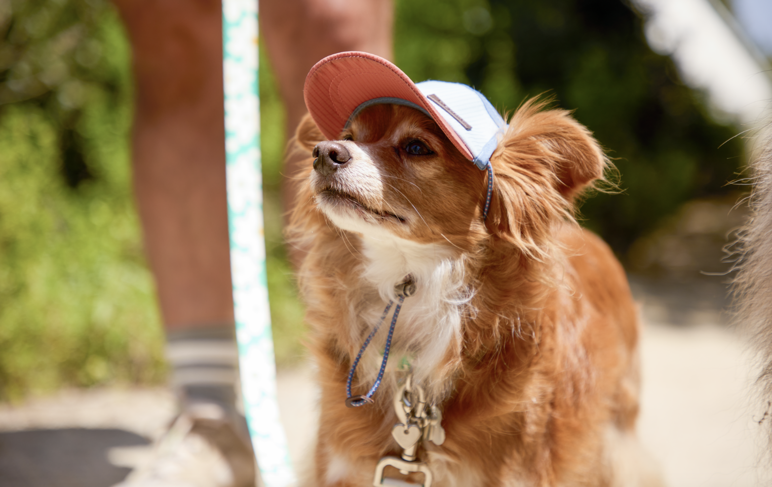 Screen Shot 2024-06-25 at 3.07.11 PM.png