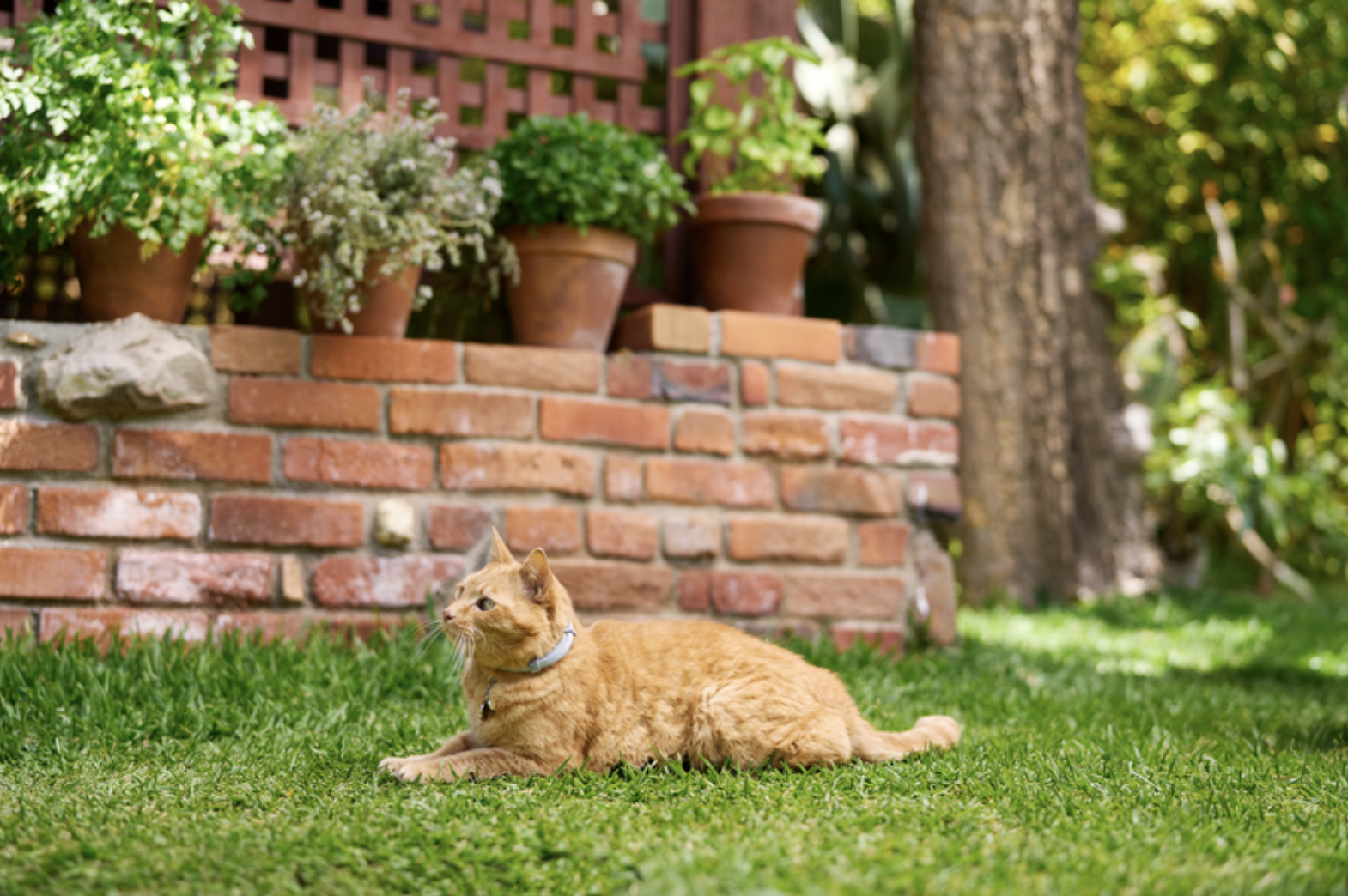 Screen Shot 2024-06-25 at 2.57.34 PM.png