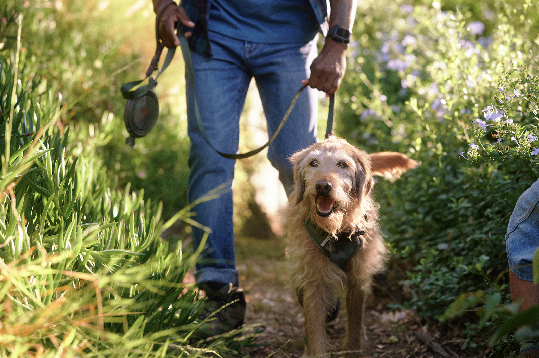 Screen Shot 2024-06-25 at 2.44.22 PM.png