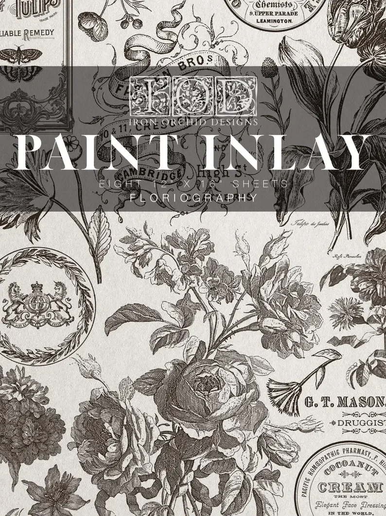 IOD Paint Inays 101