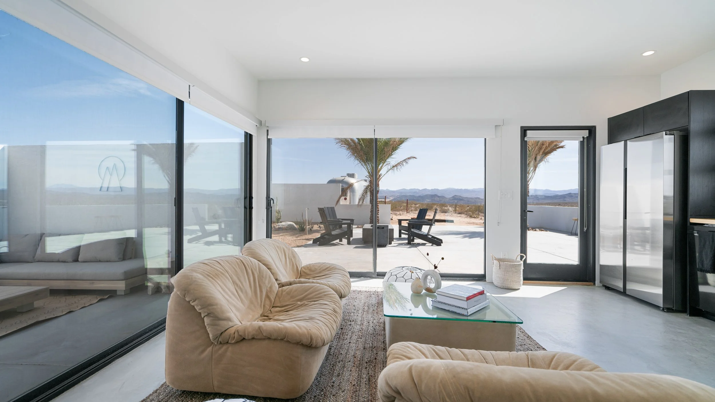 Joshua Tree Under the Stars