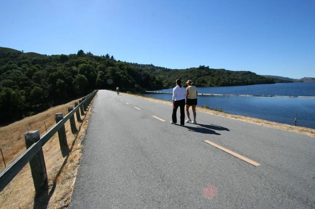 5 Reasons Sawyer Camp Trail Is the Peninsula’s Easiest Beautiful Hike