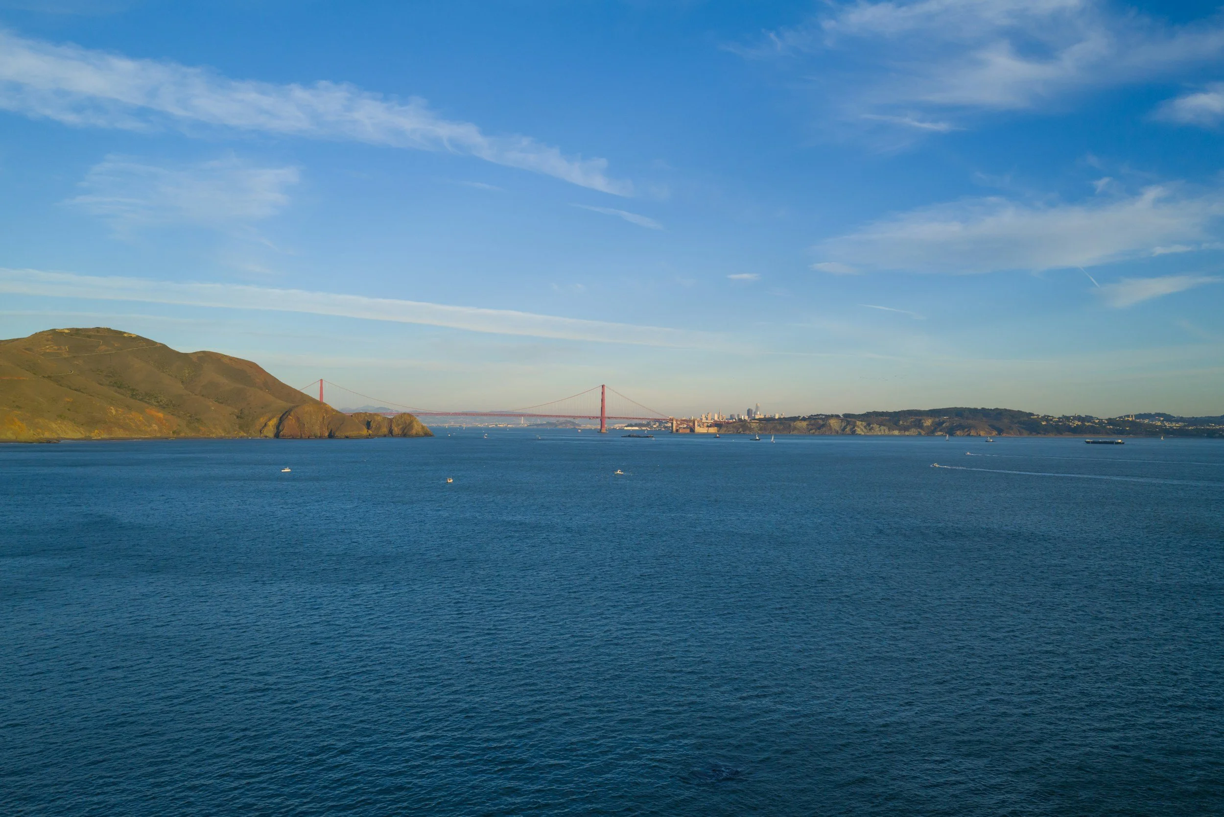 Things to Do in the Bay Area This Weekend (A Locals’ Guide)