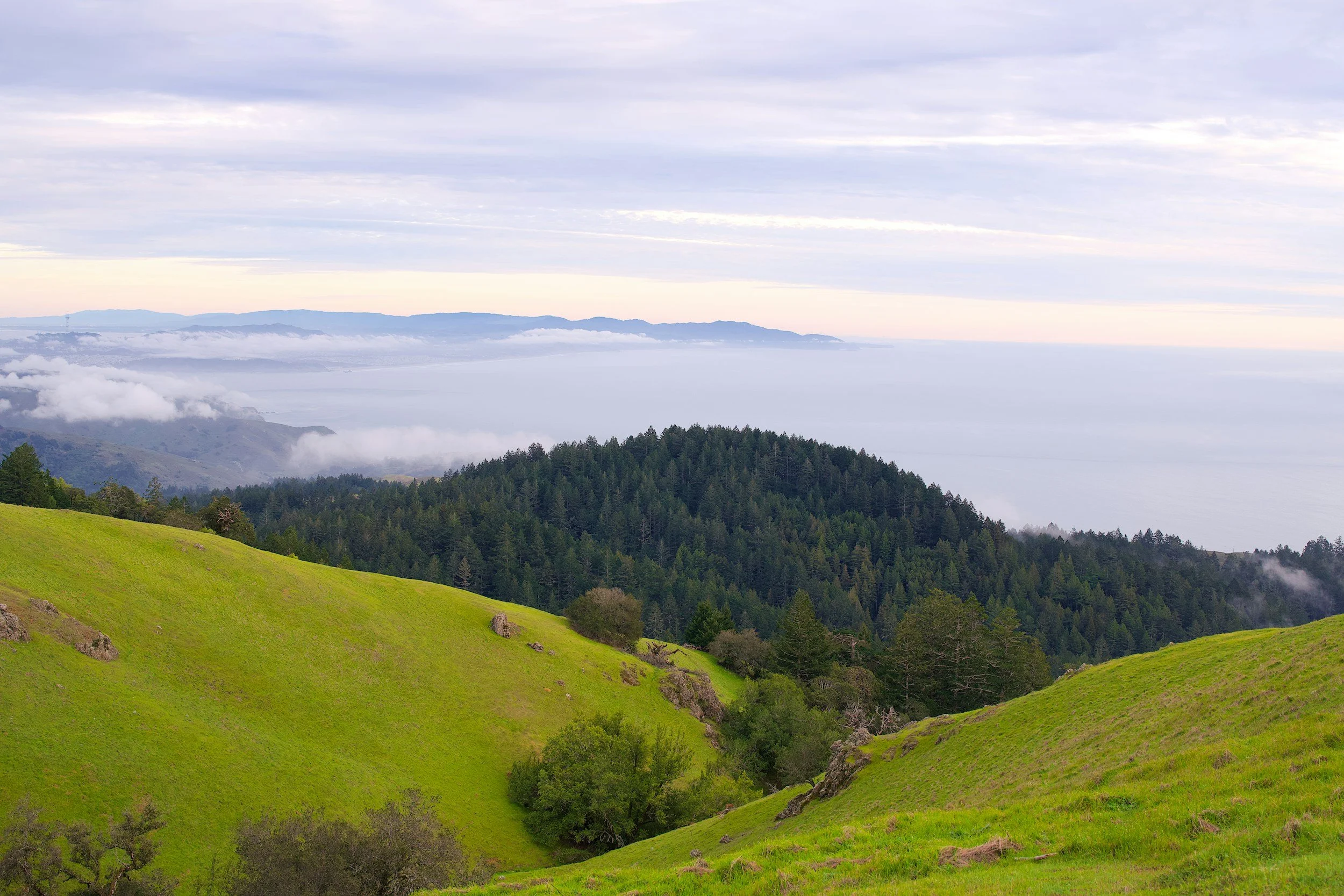 The Best Outdoor Things to Do in the Bay Area This Weekend
