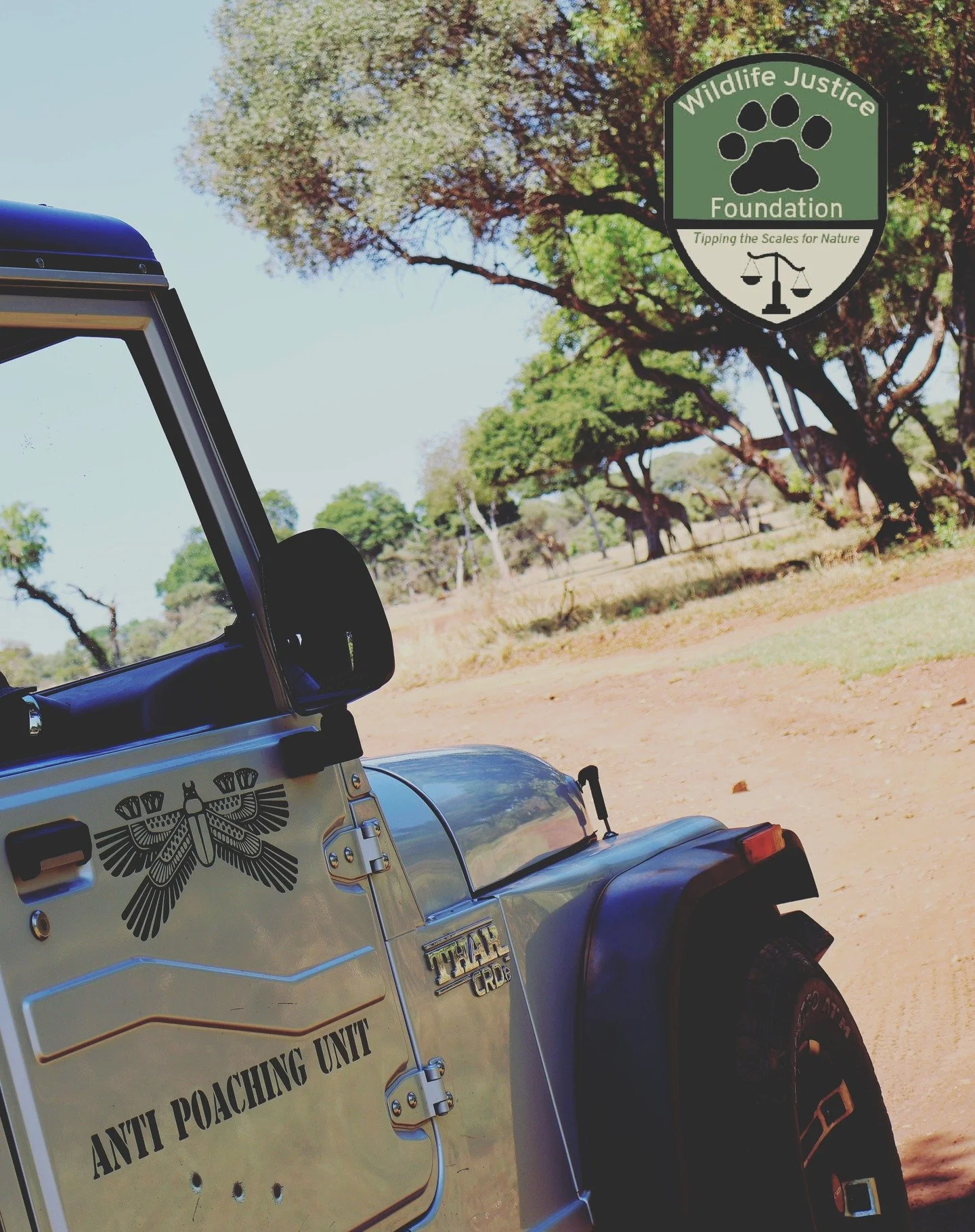 Wildlife Justice-Broederstroom, NW, South Africa.

Our Anti-Poaching work in the area of our Bush Camp not only patrols against poaching threats but also de-snaring and monitoring the health of wildlife around our Bush Camp.

This winter has been esp