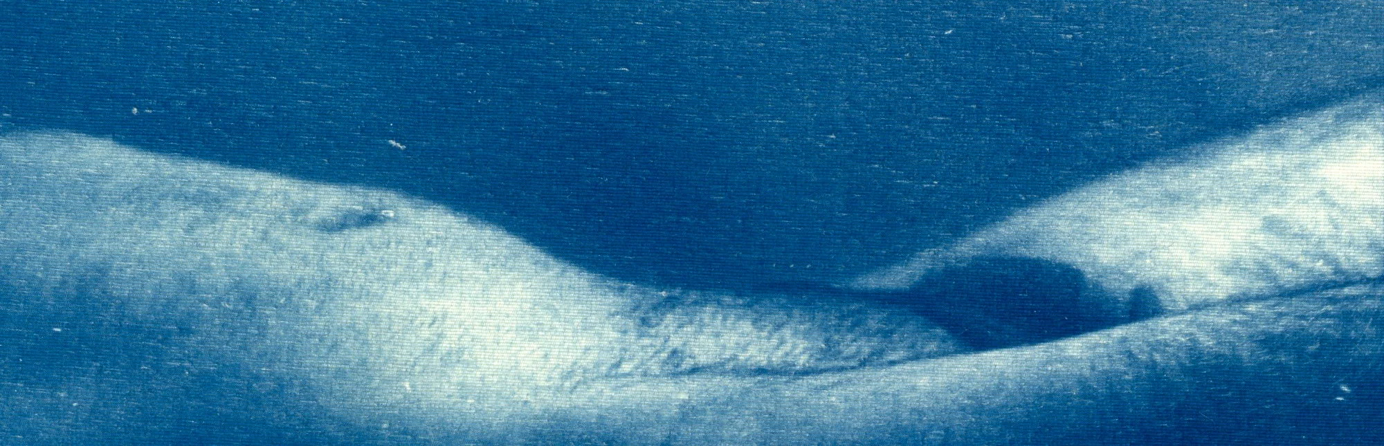 Duvall_web_031.jpg