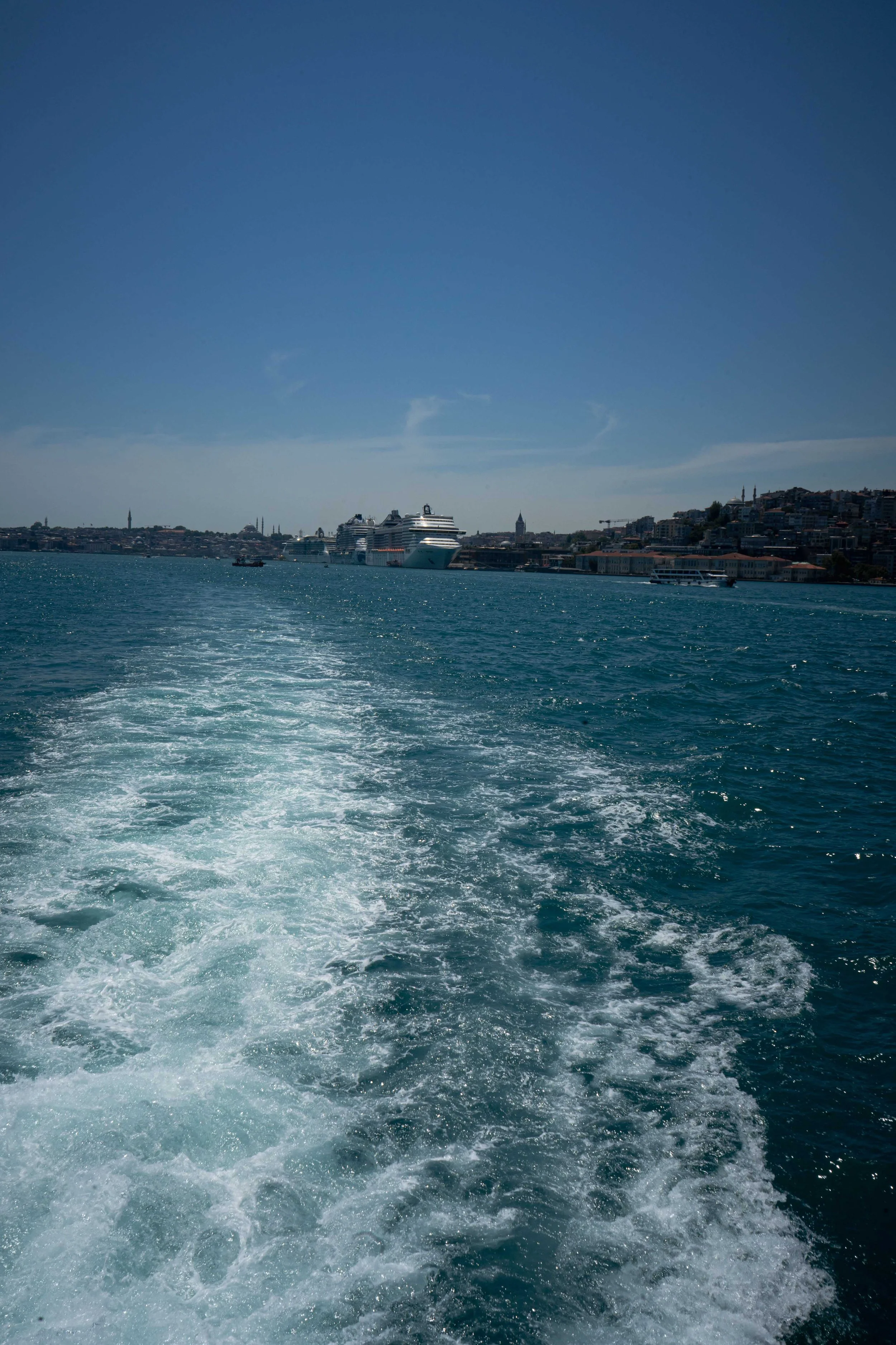 DSC00012_1.jpg