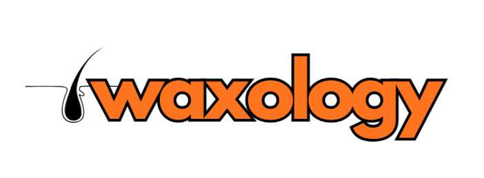 Waxology New Bedford