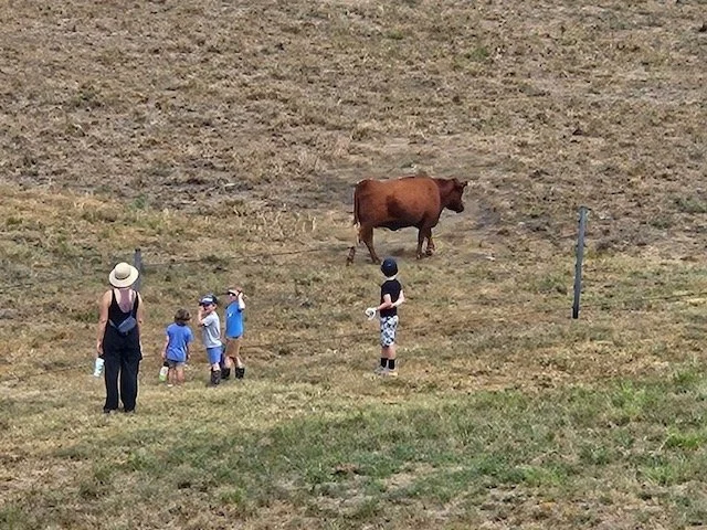 Farmhouse Kindergarden