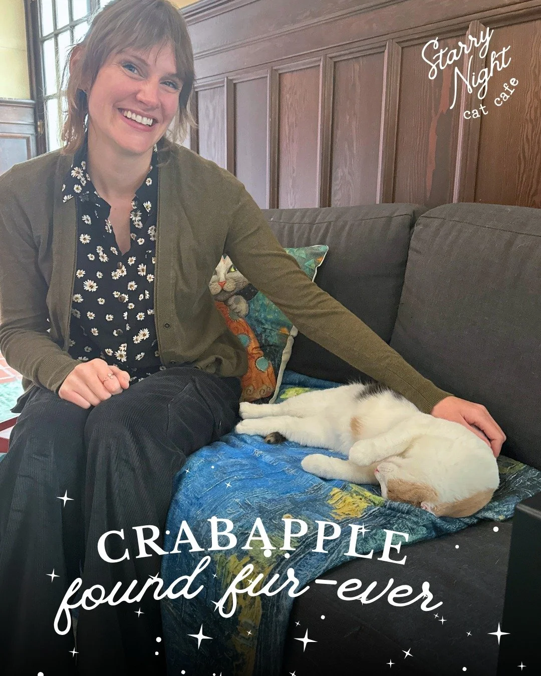 🍎 Crabapple Has Been Picked Off the Cat Tree! Crabapple came to Starry Night hoping a change of scenery might make all the difference and it did! Some cats have a harder time adjusting to shelter environments, and we&rsquo;re so grateful to provide 