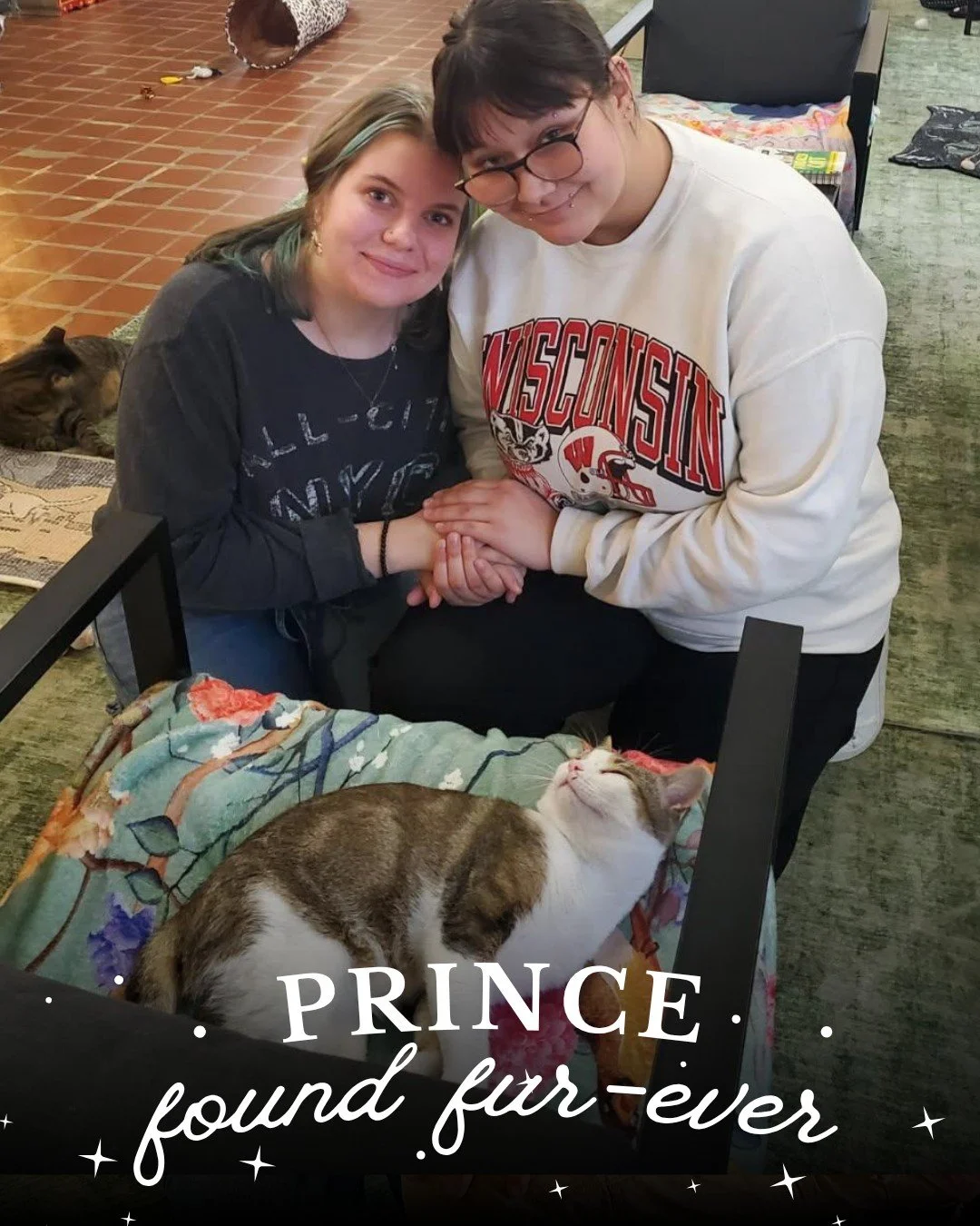 Royal Adoption News! π We’re so excited to share that Prince has found his furever castle! π° This super friendly cat truly lives up to his royal name with a big heart, gentle soul, and charm. Excited to share Prince is officially adoption β¨#1