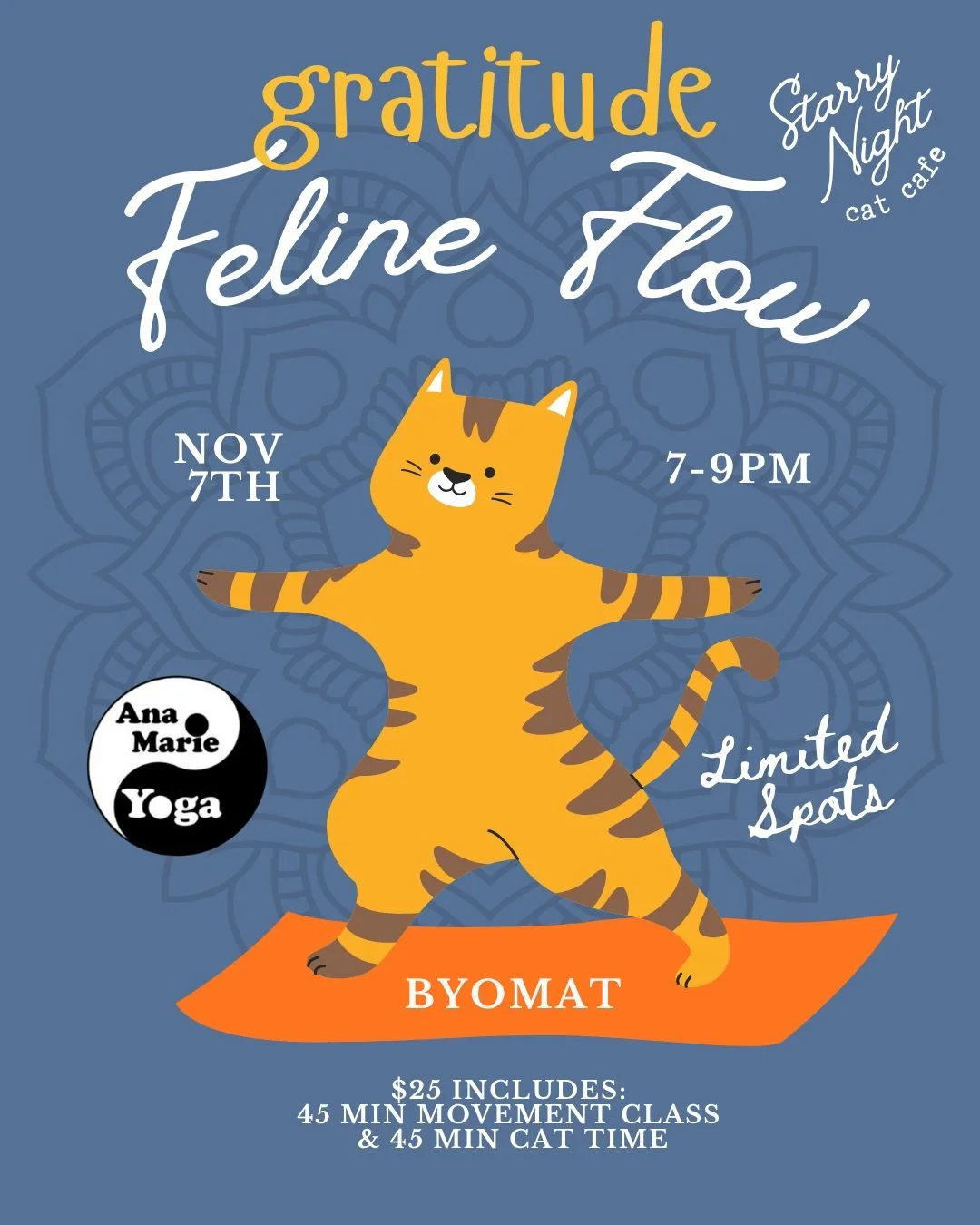 Gratitude Feline Flow β¨ November 7th from 7-9pm! Join us as the season shifts, we’ll gather in the sanctuary surrounded by cats to release what no longer serves us and open our hearts to gratitude for all that’s good.
Reserve Now--->