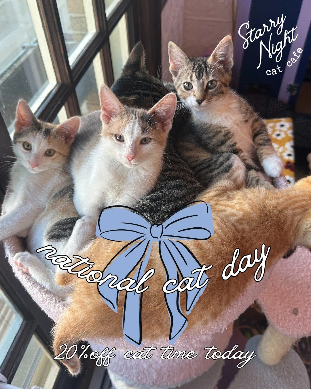 We’re cat people. πΈ Yes, we have cats. Yes, we want to see your cat pictures. Yes, we absolutely need to meet (and pet) all the cats. You get it AND you get us. π«Ά Get 20% off your Cat Time today! The vibes (and our 20 fosters) are waiting for