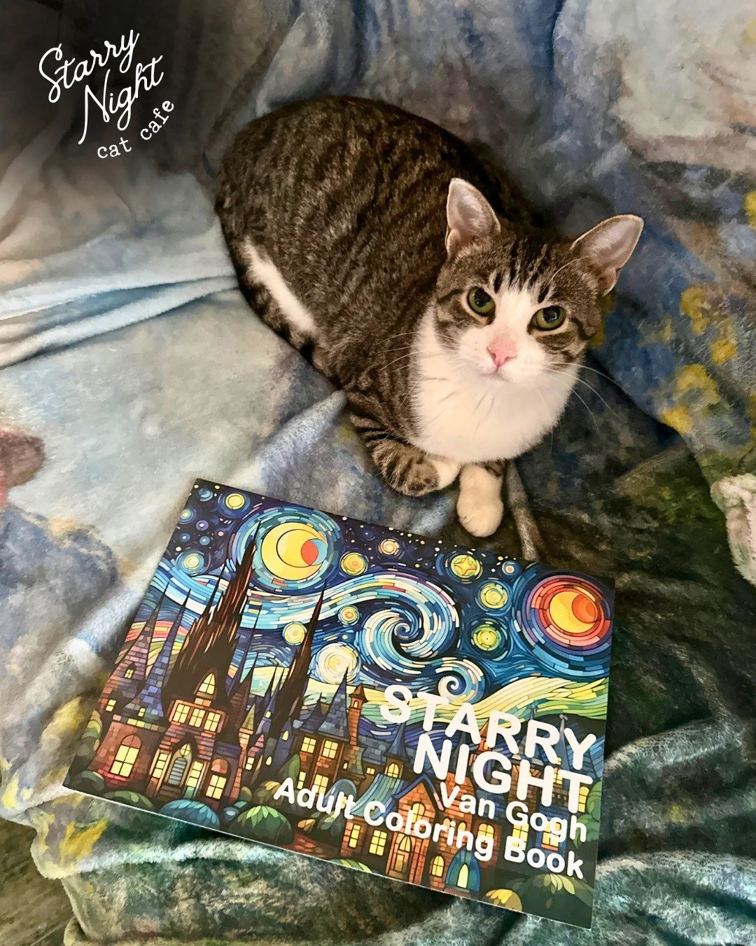 Jubilee wants you to know&hellip; Coloring with Cats still has spots open for Friday night 7-9pm ! Cat &amp; Color Therapy all in one! 🐈🎨

Great deal! Spend 2 hours in the cat room:
🎨 1 hour of coloring PLUS your very own Starry Night Coloring Boo
